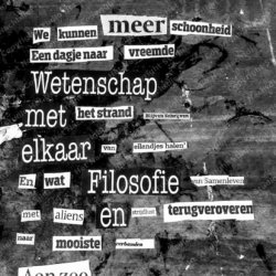 Poster Schoonheid terugveroveren