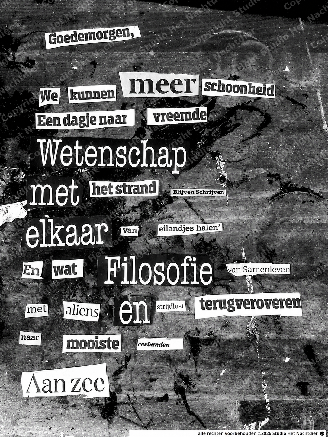 Poster Schoonheid terugveroveren